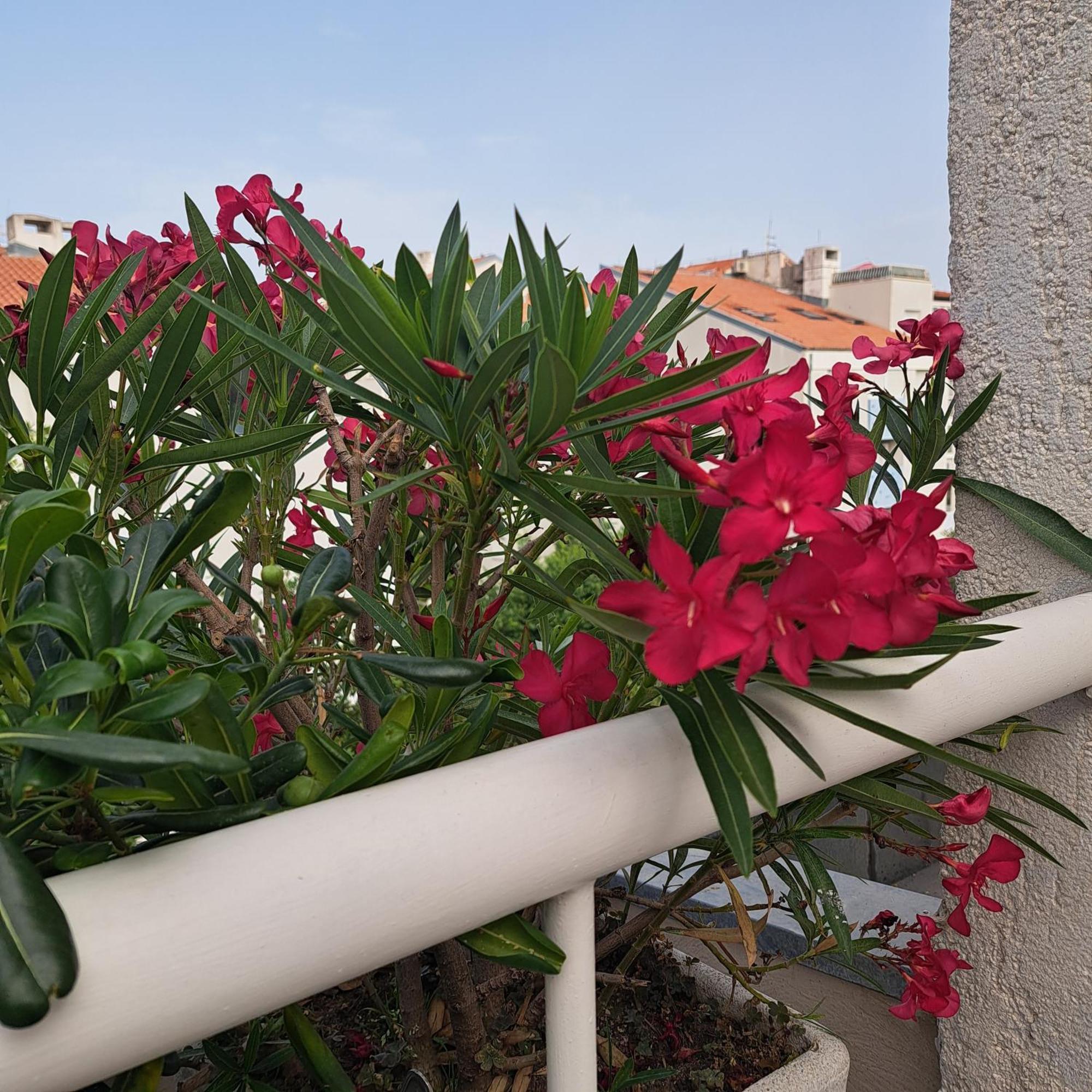 Apartman Fox Split Exterior foto